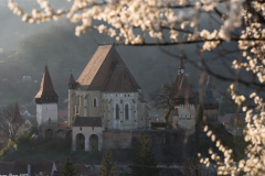 Biserica Fortificată Biertan -  FLORIN TODORAN